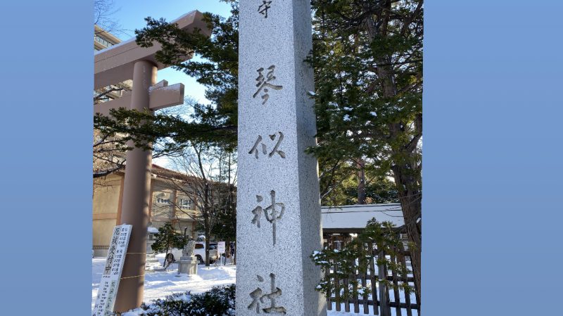 今年も宜しくお願い致します✨