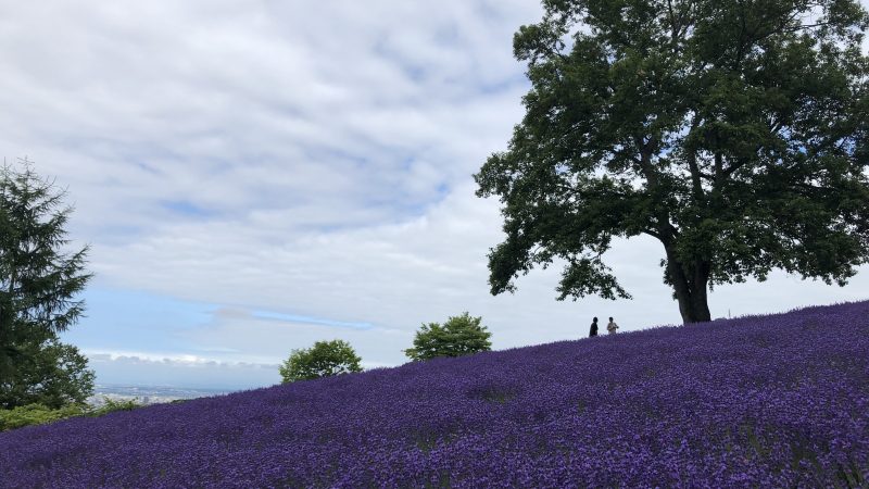 オリジナルシャンプー