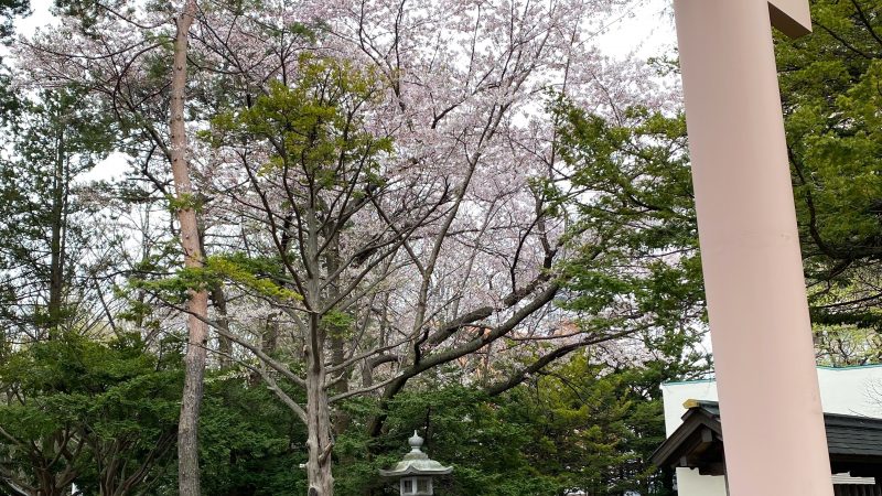 ご来店の楽しみに!