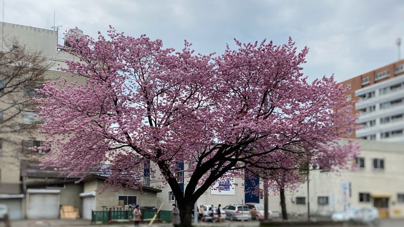 今だからできる事