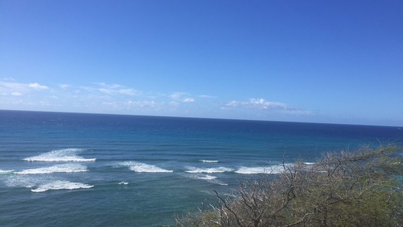 夏休みのおともに、、
