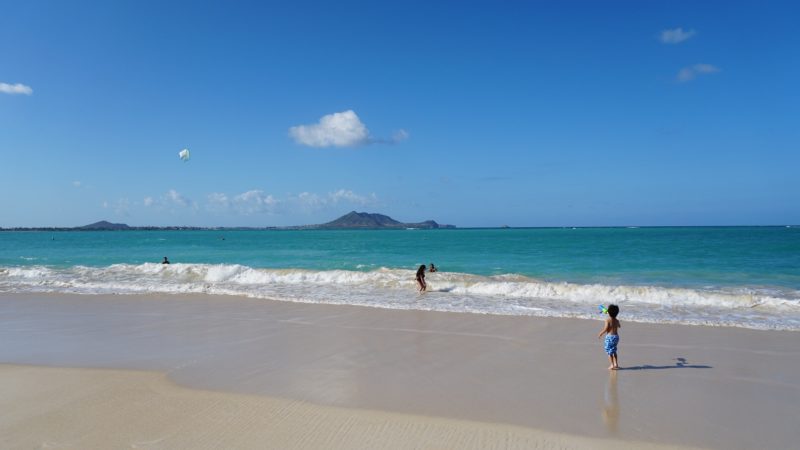火曜日から夏休みです!