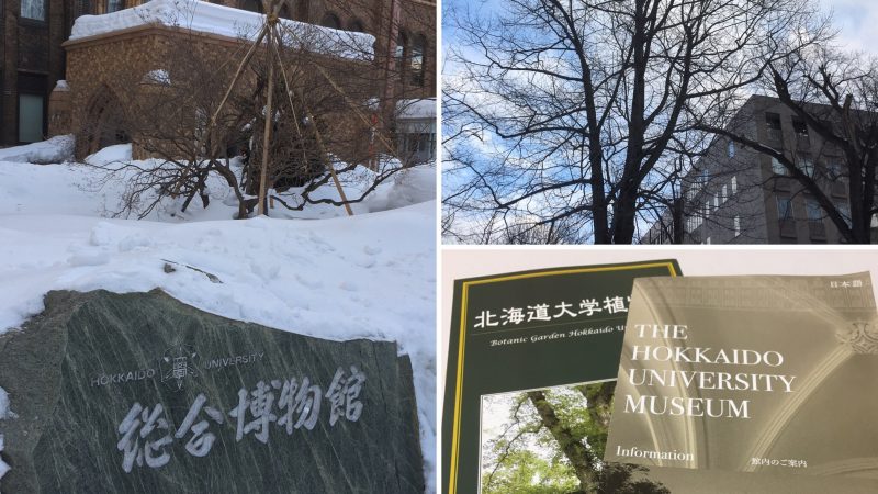 今回は北大へ行って来ました❗️