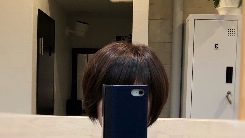 ツヤツヤになりました〜✨