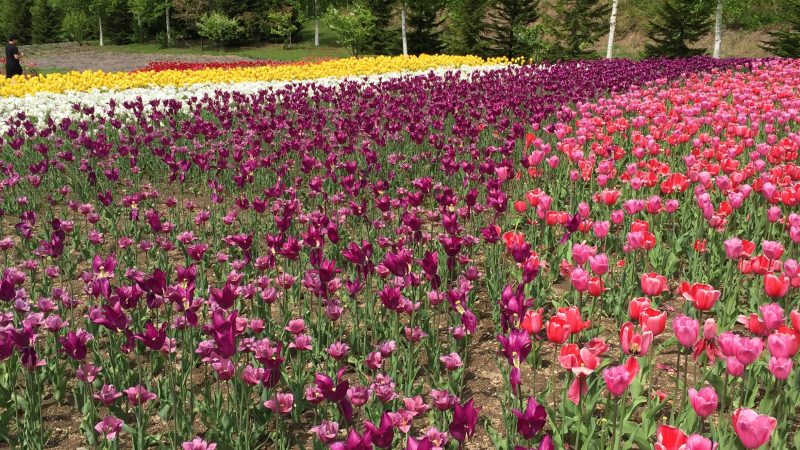 癒されましたー