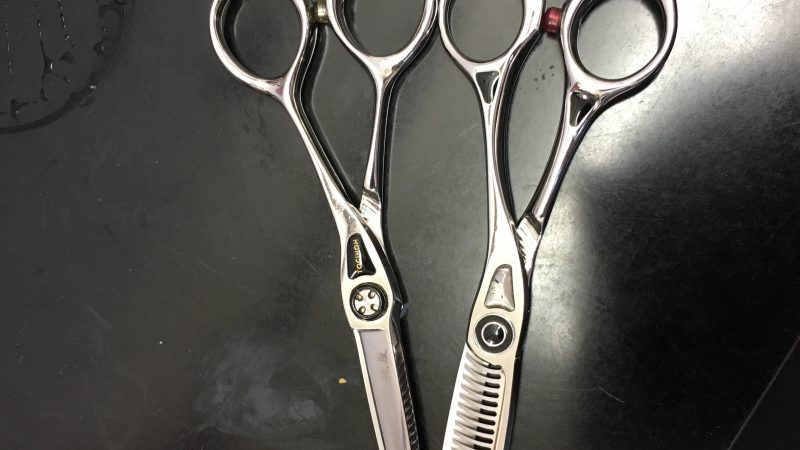 これからずっと一緒に…