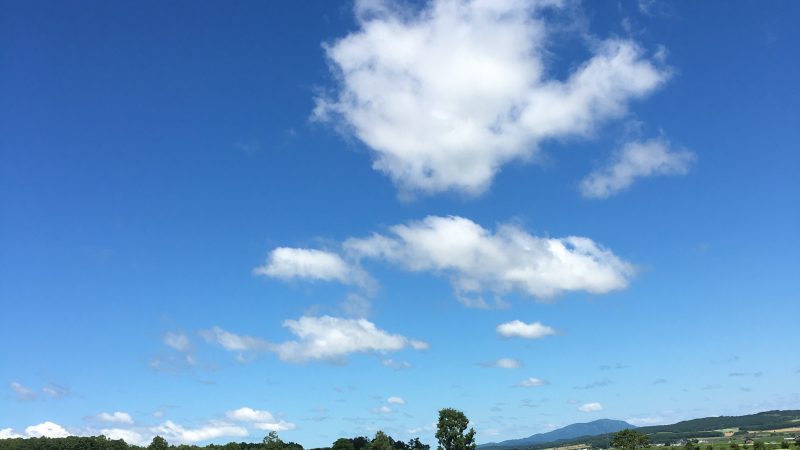 夏の肌ケア!!