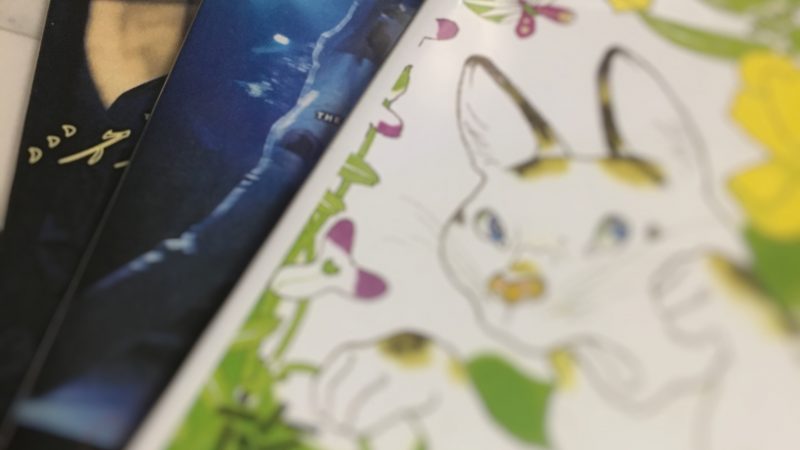 私が引き込まれたものは…