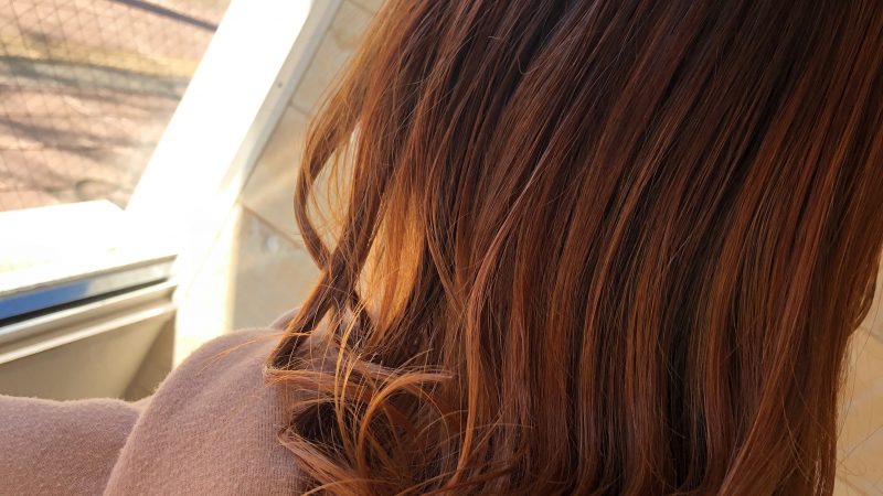 春が近づいて…る？