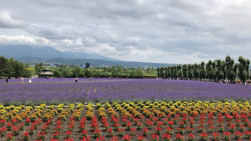 お団子ヘアで浴衣