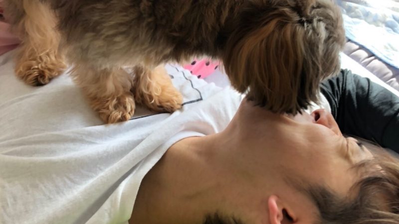 めっちゃ好きです。