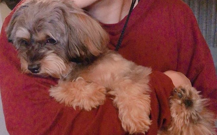 顔で選んでませんか?